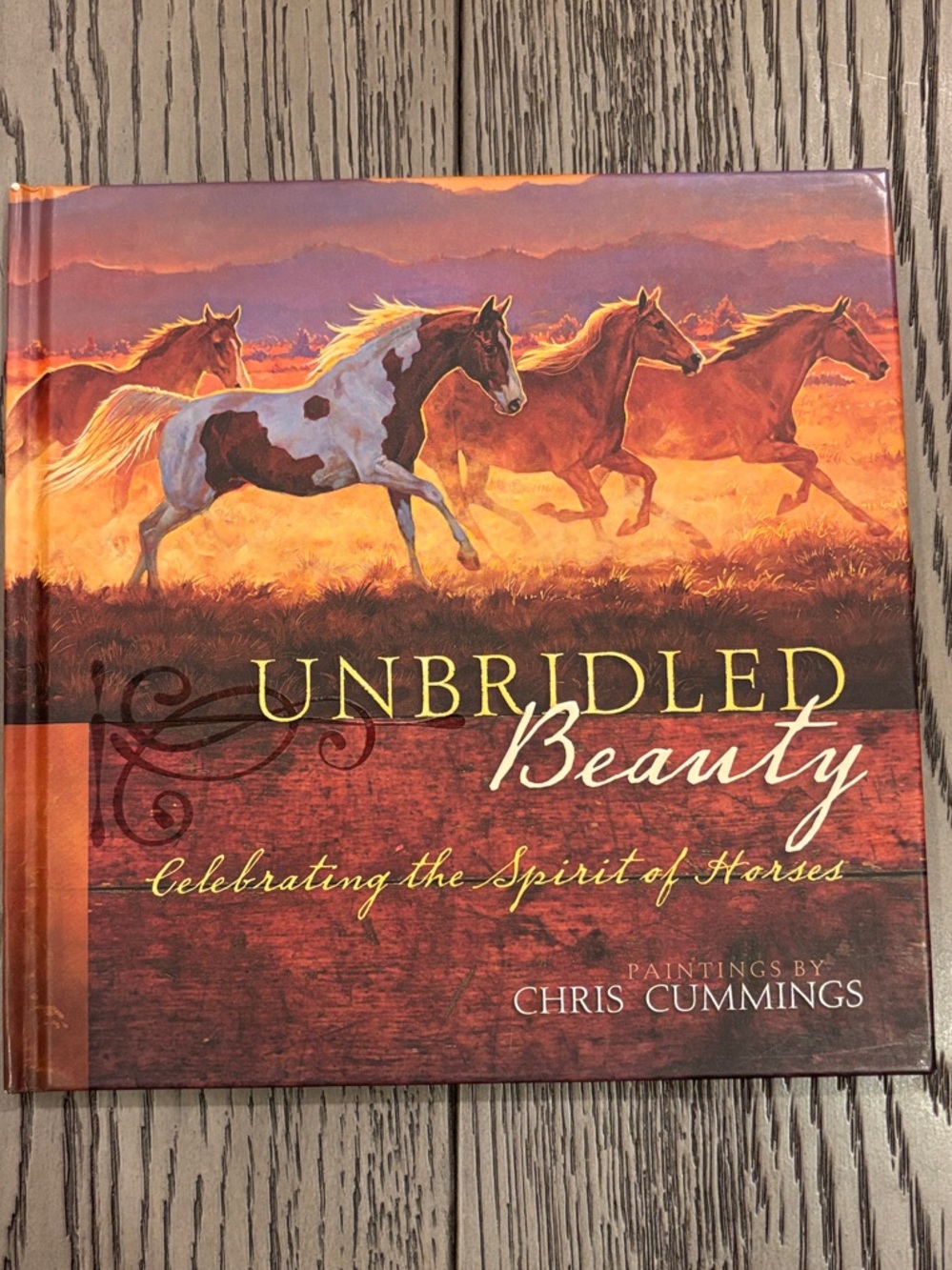 Chris Cummings Unbridled Beauty Celebrating the Spirit of Horses Hard Cover